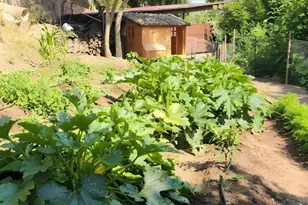 330 E Mountain, Santa Barbara, CA 93108 - Photo 40