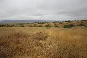 205 Castro Canyon Rd, Cuyama, CA 93254 - Photo 8