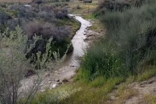 205 Castro Canyon Rd, Cuyama, CA 93254 - Photo 4