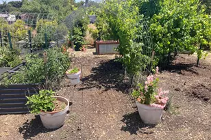 182-172 E Chestnut St, Nipomo, CA 93444 - Photo 40