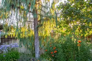 969 Vintage Way, Los Alamos, CA 93440 - Photo 46